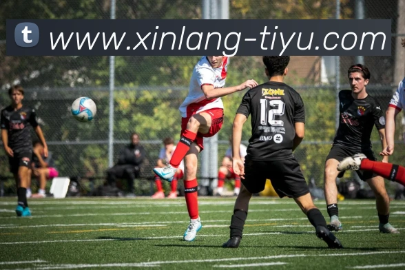 新浪体育(SINA SPORTS)官方授权体育信息服务中心平台生态图