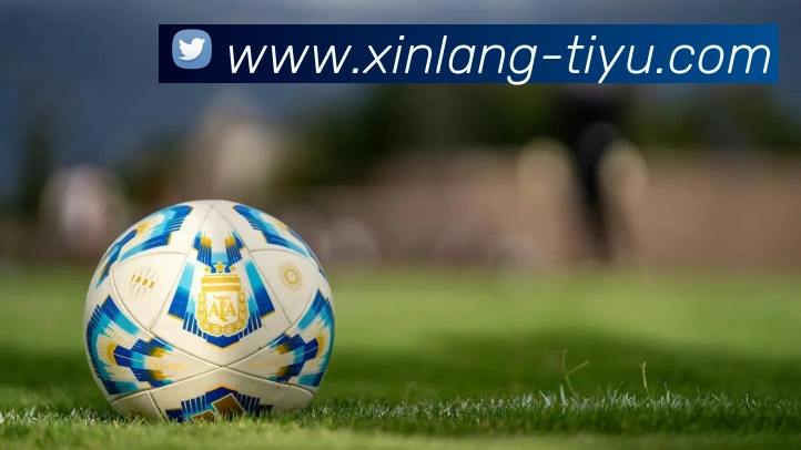 新浪体育(SINA SPORTS)官方授权体育信息服务中心APP 封面图